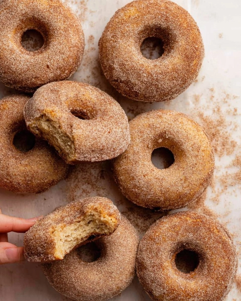 Baked Cinnamon Sugar Donuts